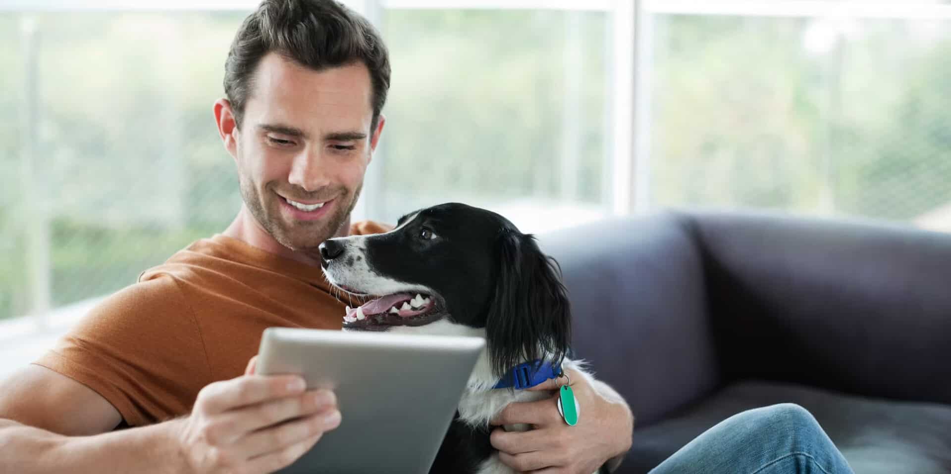 Man with a dog using a phone