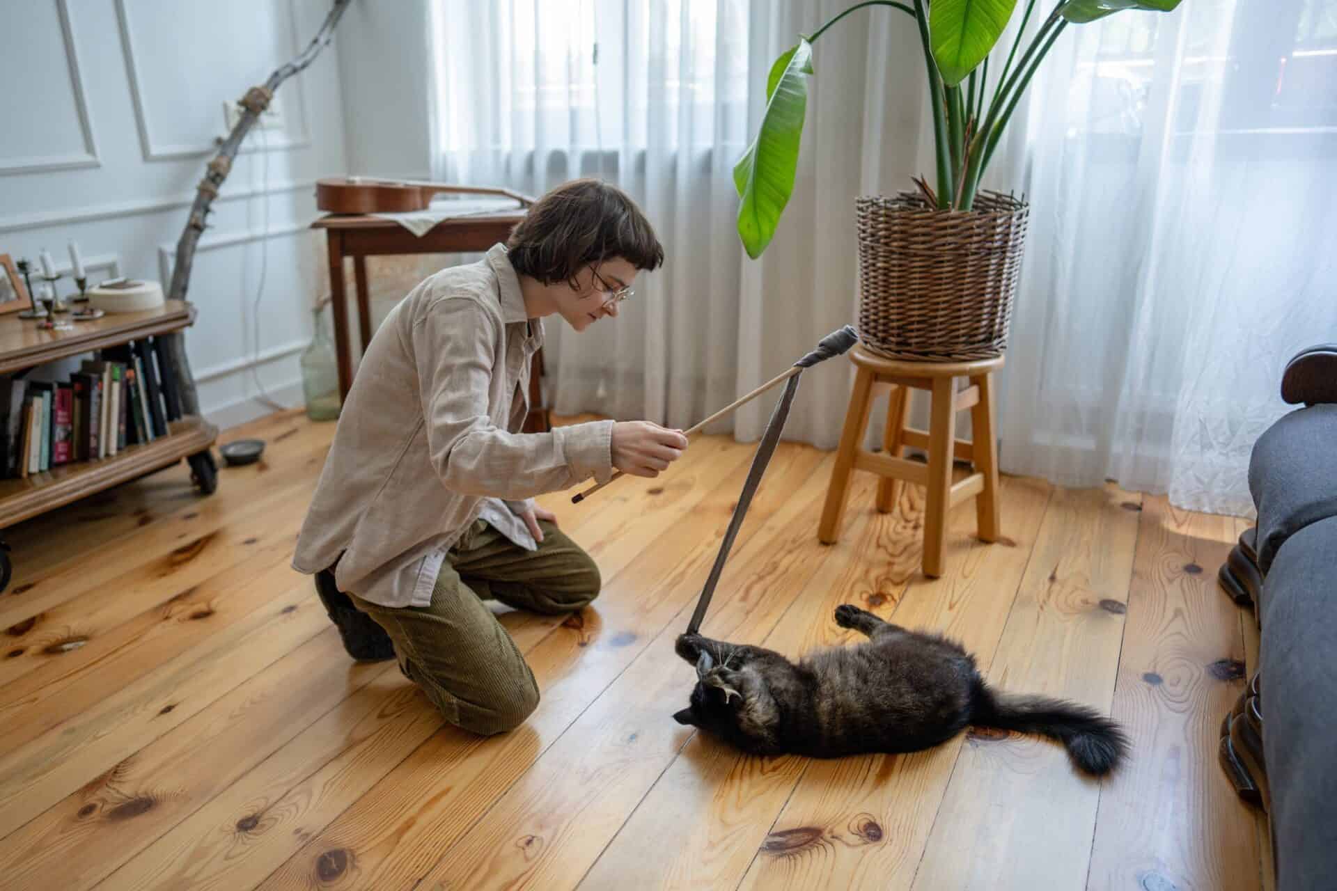 Woman playing with a cat at home