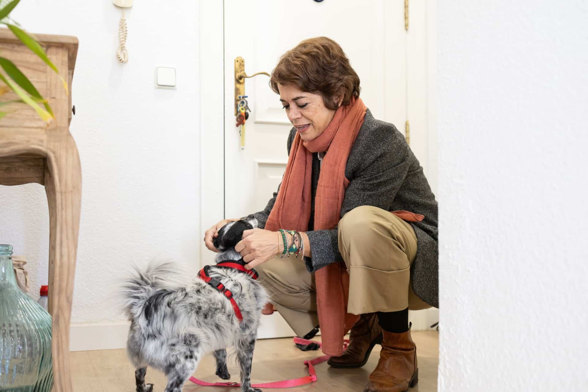 How to Prepare Your Pets and Home for a Live-In Sitter